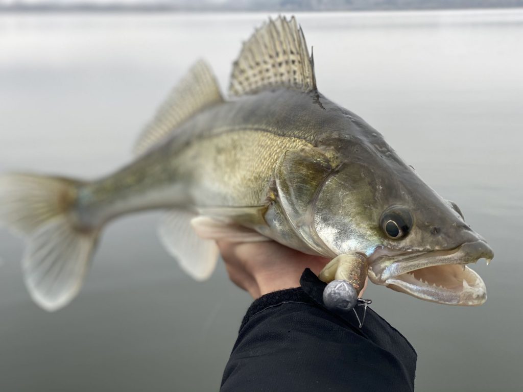 Zo šťastím, ale predsa.