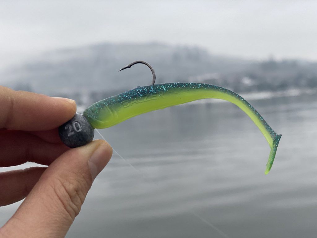 Mahi Mahi, farba ktorá výborne fungovala vo väčších hĺbkach