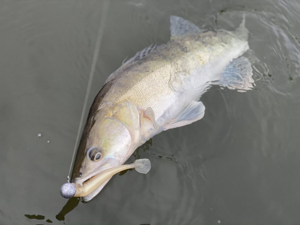 Úspešne zdolaný. Pár fotiek a ide naspäť.